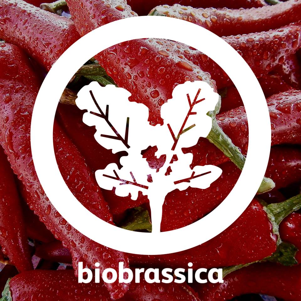BioBrassica de Guimarães